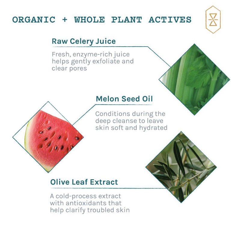 Refine - Clay Renewal Treatment